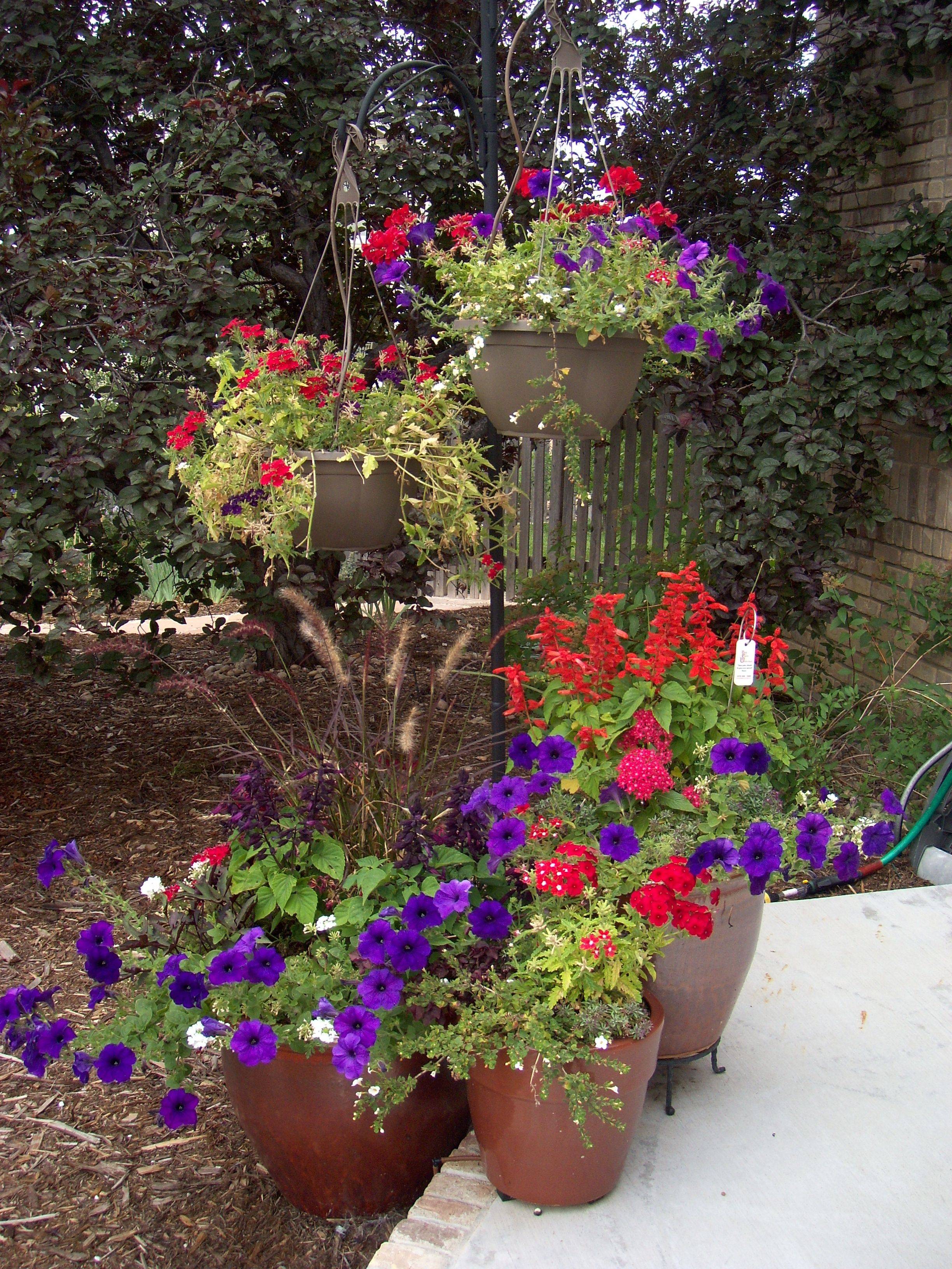 Easy Summer Container Garden Flowers Ideas
