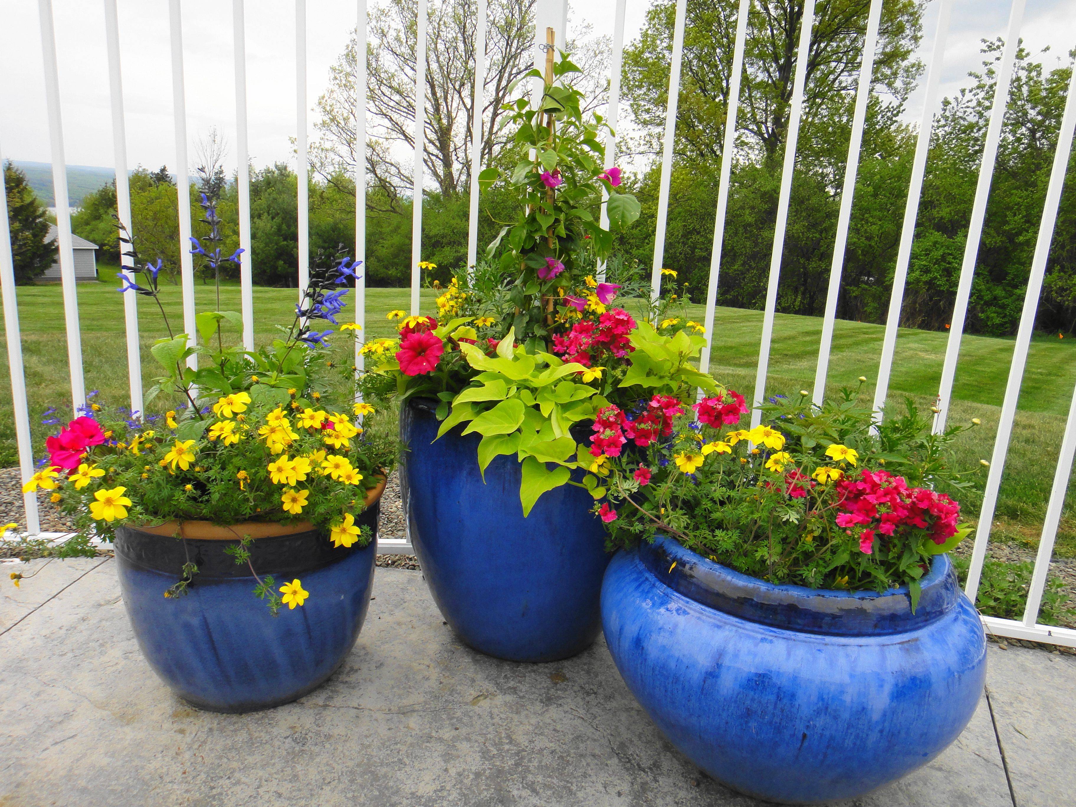 Garden Housecalls Containerscaping
