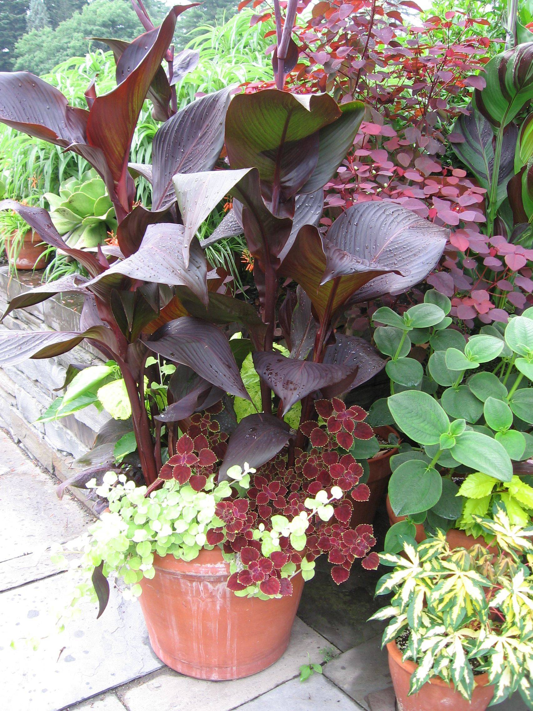 Whitehouse Landscaping