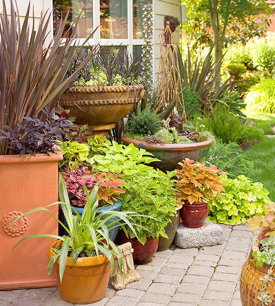 Container Gardening