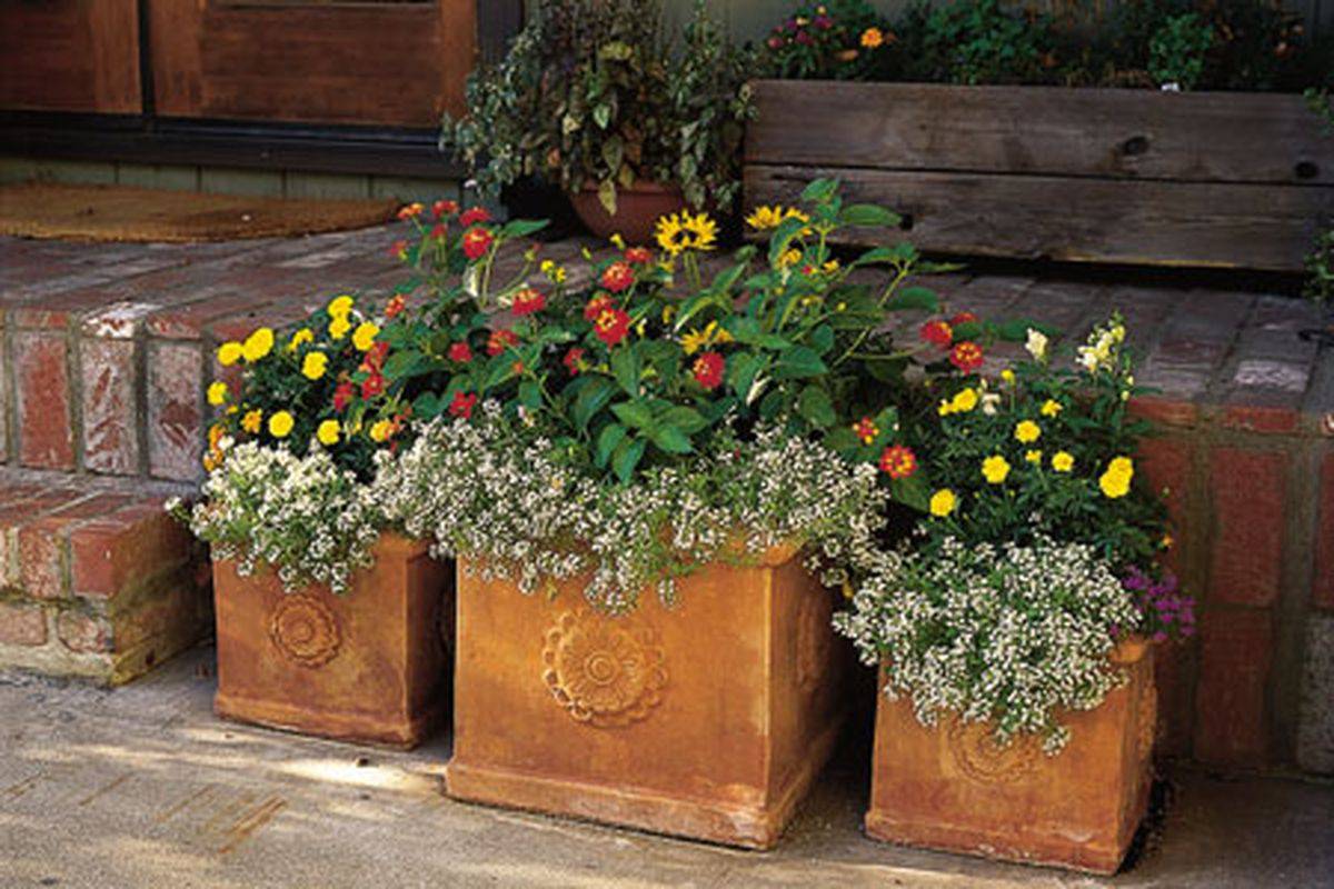 Seasonal Color Des Moines Iowa Landscaping Perennial Gardens