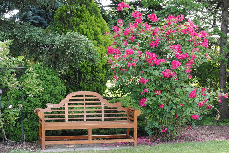 Gorgeous Rose Garden Ideas Photo Inspiration Garden Tabs