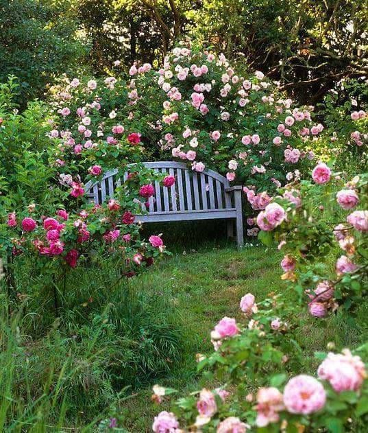 White Garden Bench