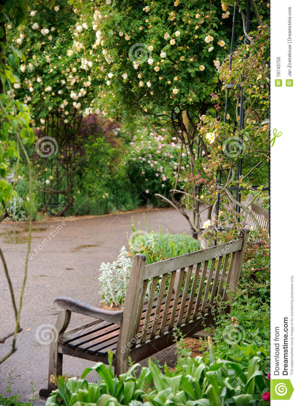 Cozy Sitting Area Wooden Garden Bench