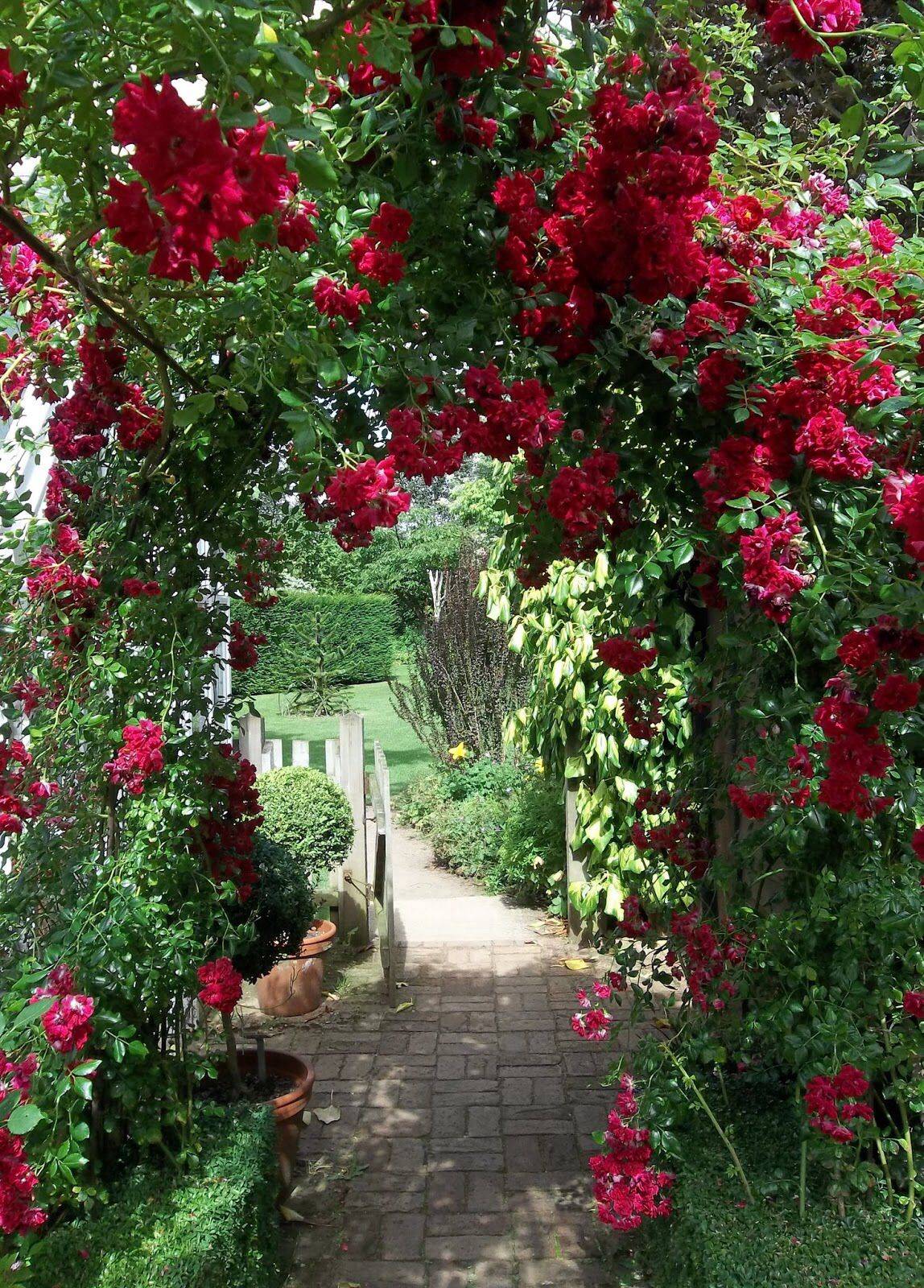 Incorporate Roses