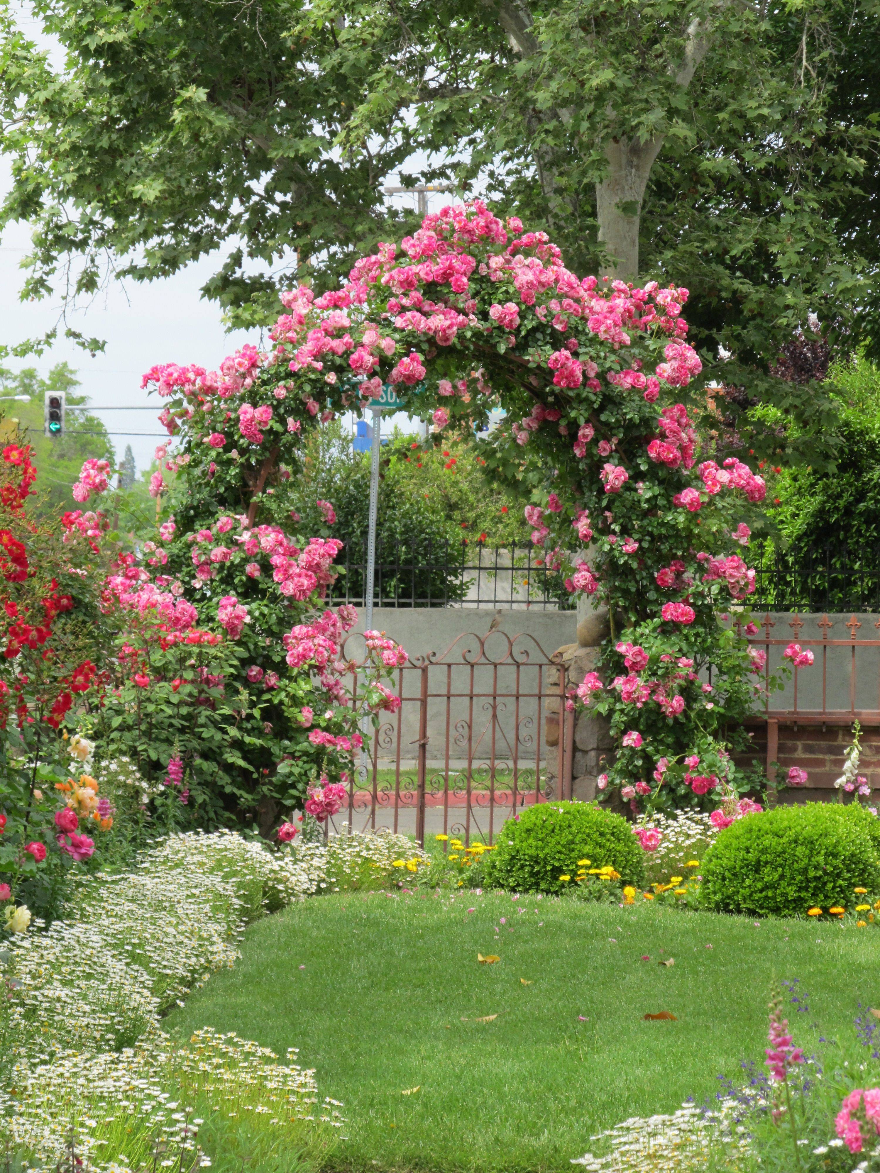 Alienessestock Beautiful Gardens