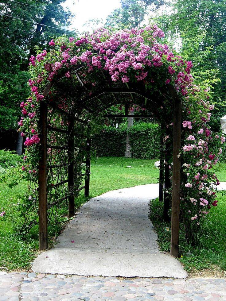 Arch Trellis