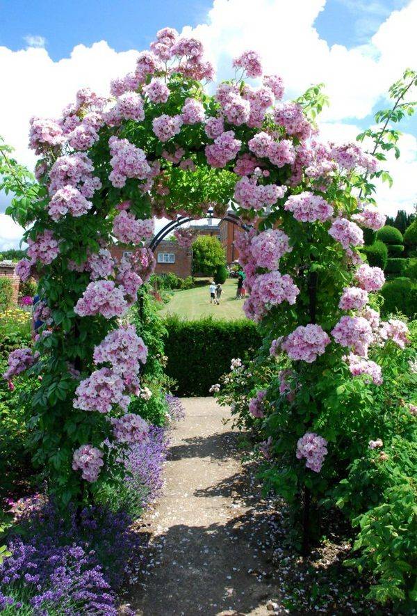 The Charming And Romantic Beauty
