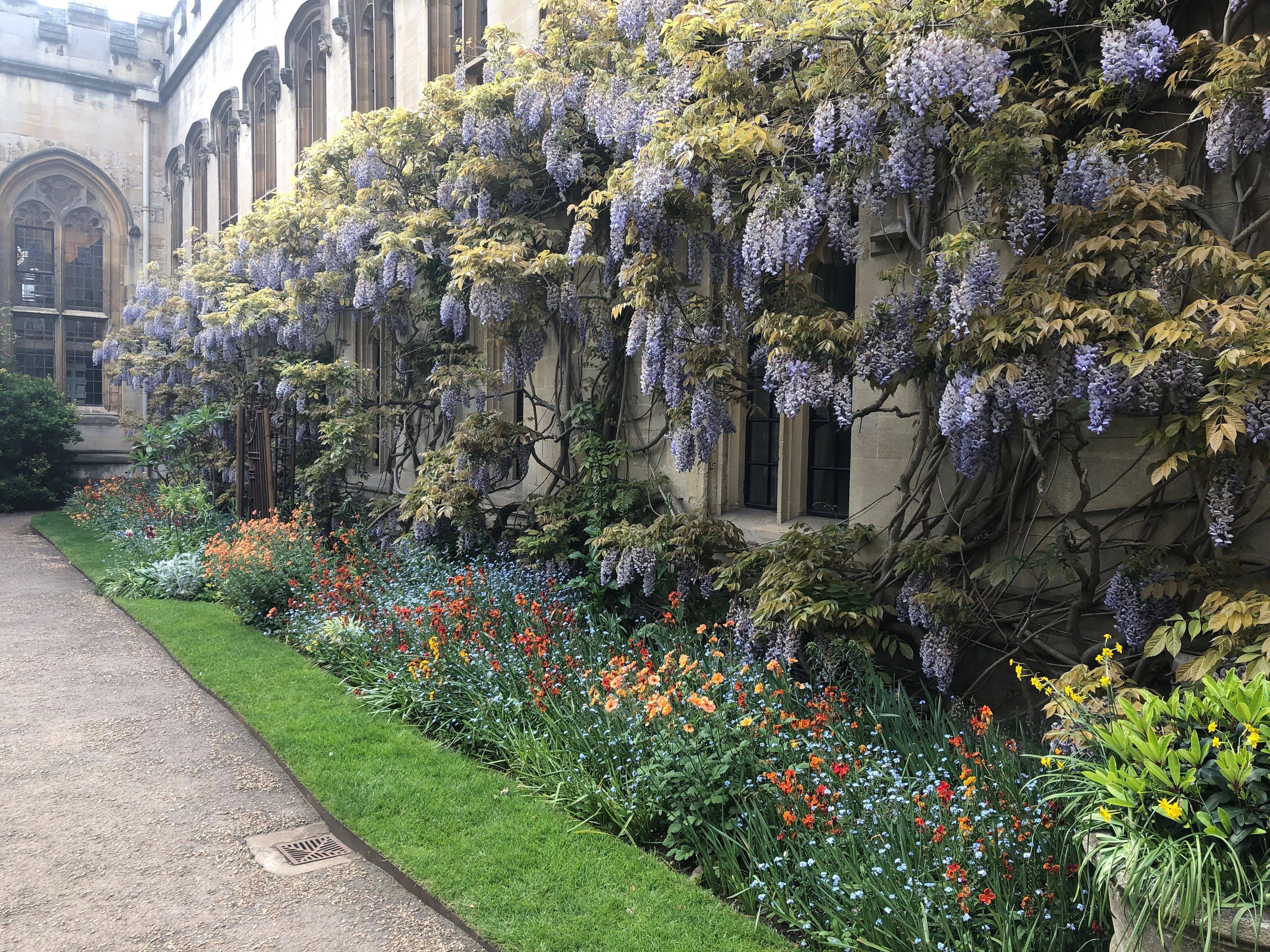 Castle Beautiful Flowers