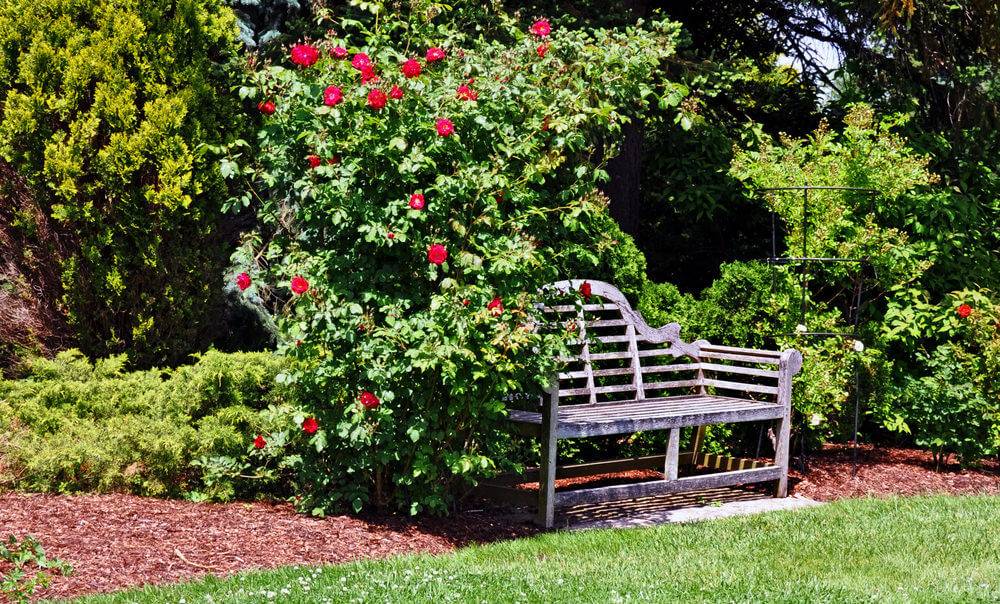 Garden Bench Ideas