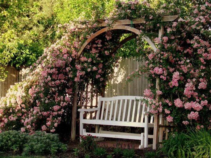 Garden Bench Roses