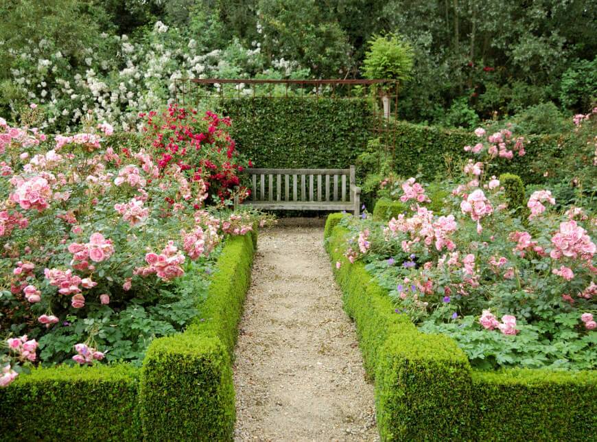 Rainbow Rose Garden Hgtv