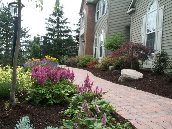 Amazing Backyard Rose Garden Ideas