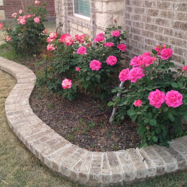 Twitter Wall Garden Ideas