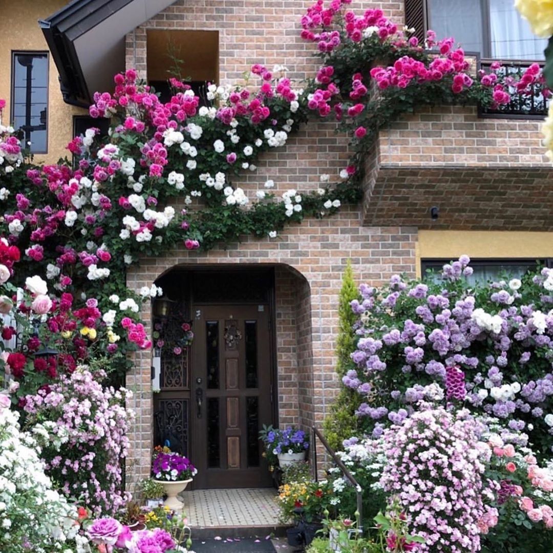 Twitter Wall Garden Ideas