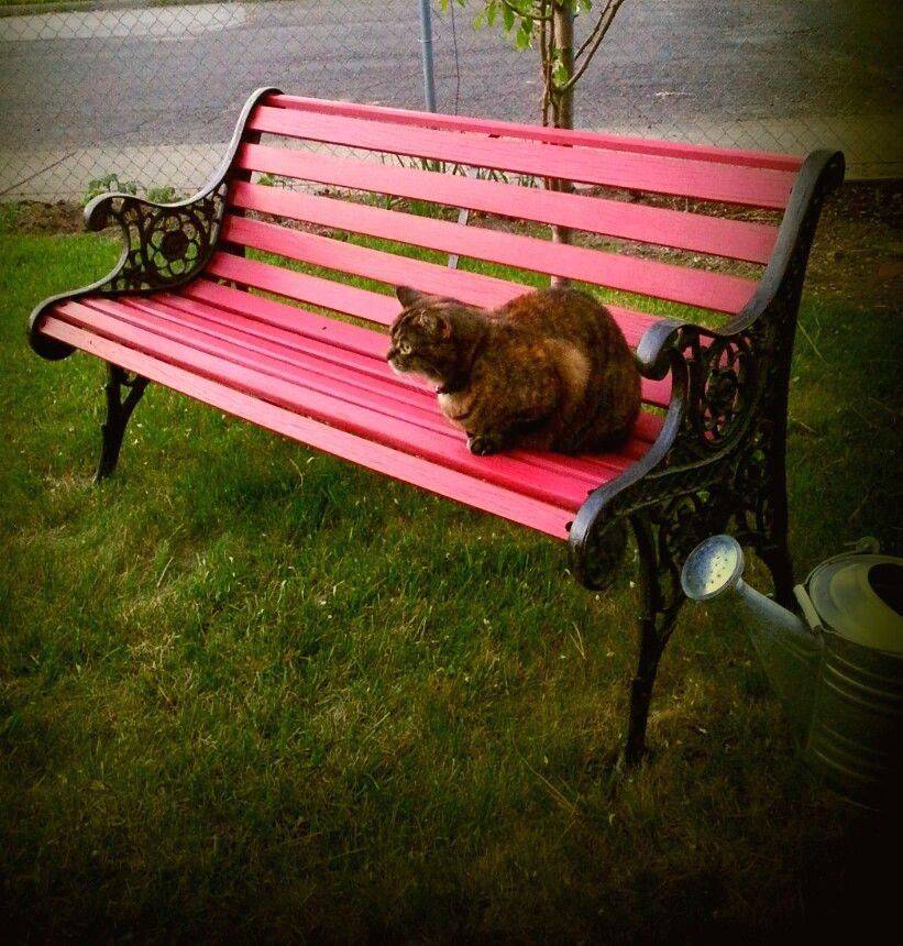 Cast Iron French Garden Bench Cottage Garden Seating