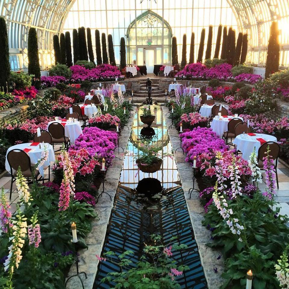 Patio Plantings