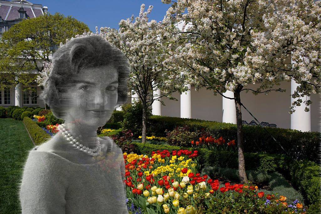 Jackie Kennedy Onassiss Eyes