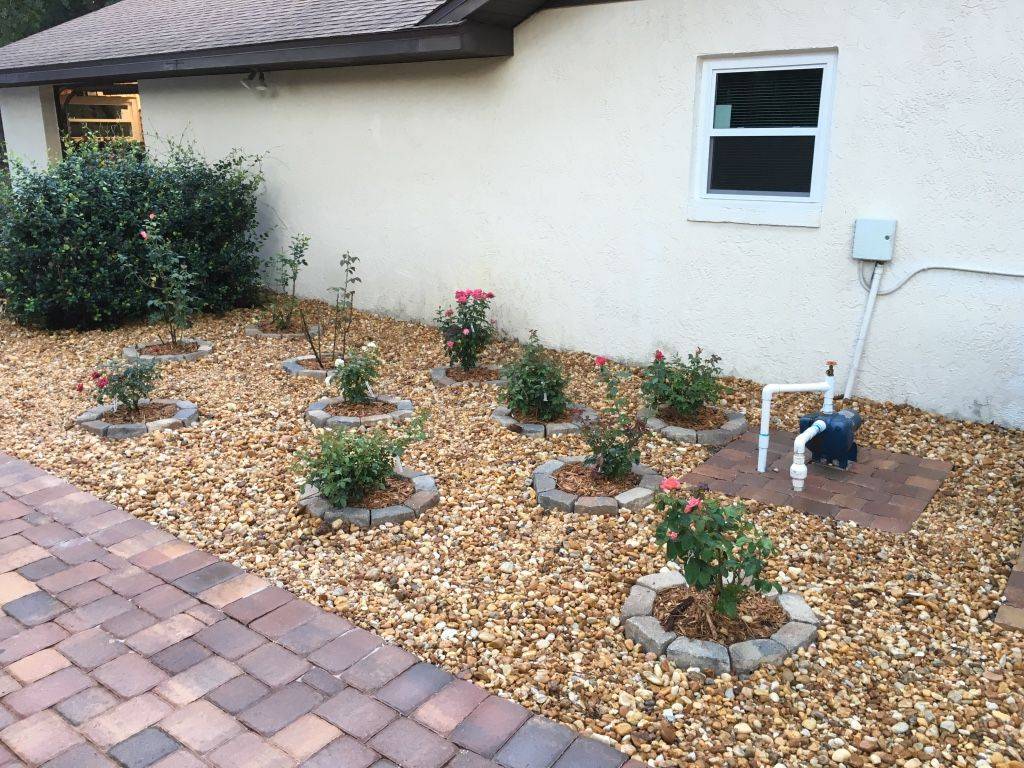 My Rose Garden