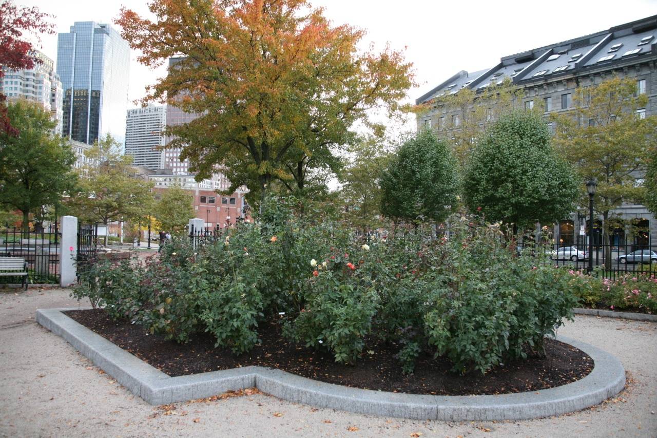 Planting Container Gardens