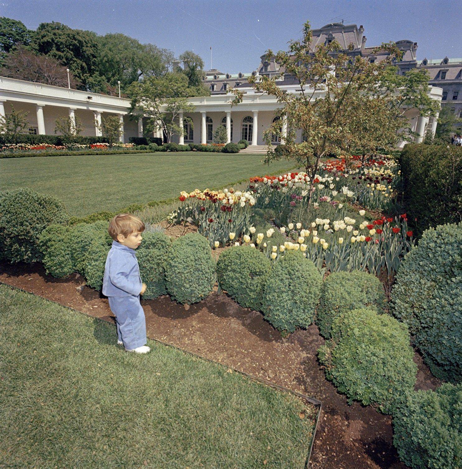 The White House Rose Garden