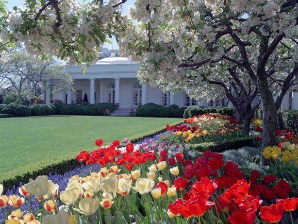 Jackie Kennedy Garden