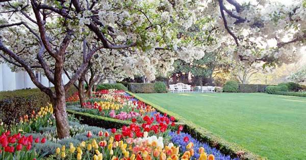 Jackie Kennedy Garden