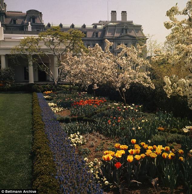 Jacqueline Kennedy Garden