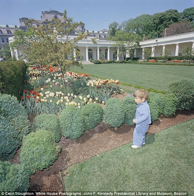The Garden Rose Garden Landscape