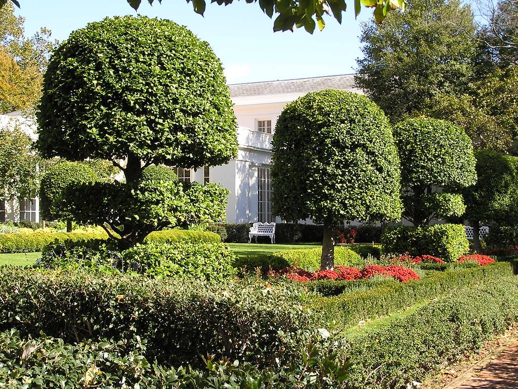 The Jacqueline Kennedy Garden