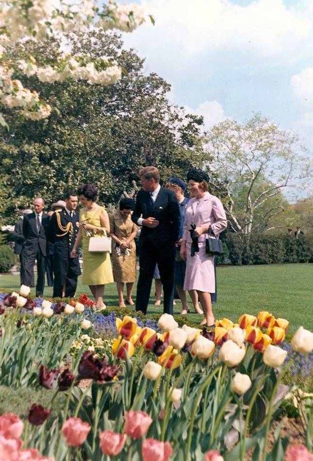 13 Jackie Kennedy White House Rose Garden Ideas To Try This Year