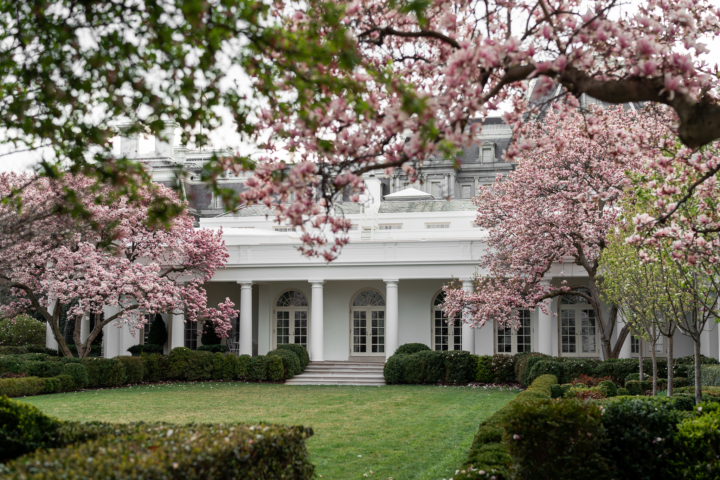 Melania Trump Announces Rose Garden Renovation Newsopener