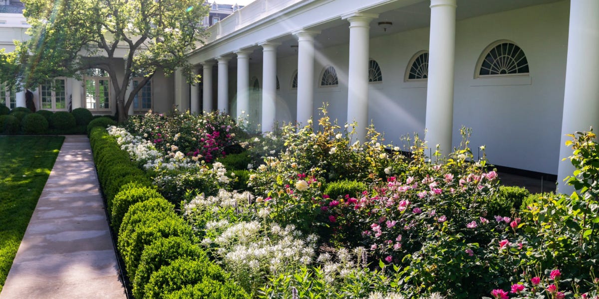 Rose Garden Criticism
