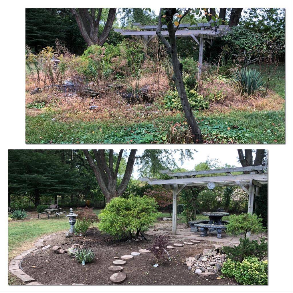 Backyard Before And Afters To Inspire Backyard Rose Garden Rose