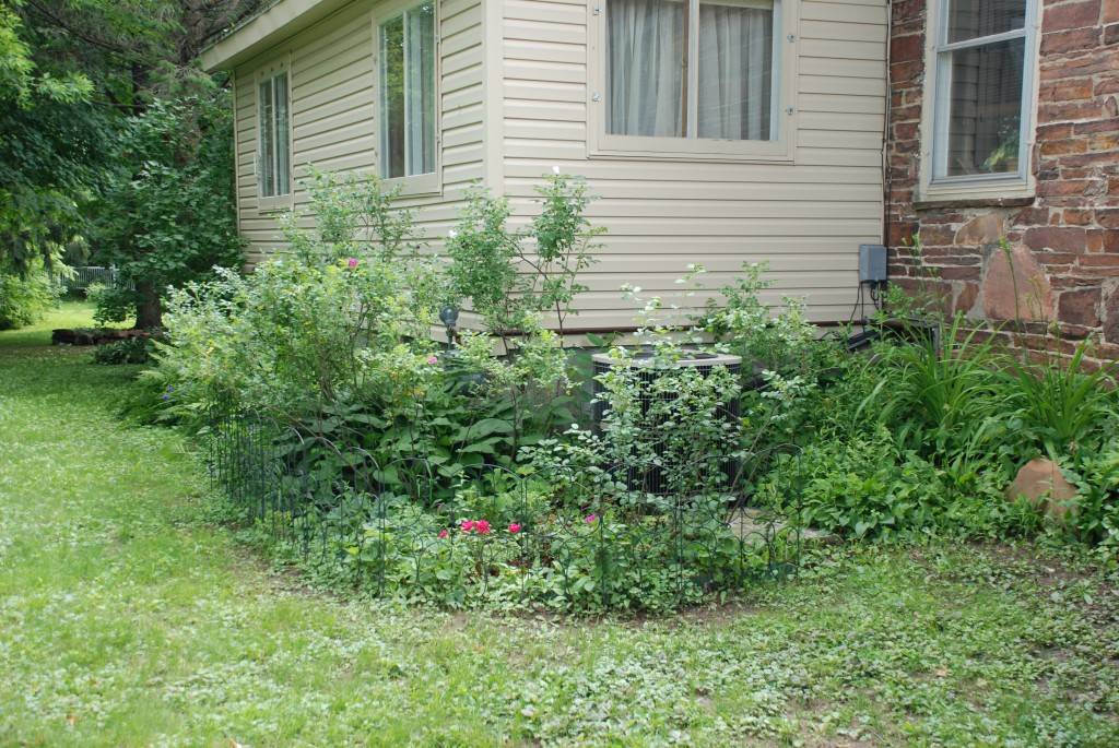 Gorgeous Rose Garden Ideas Photo Inspiration Garden Tabs