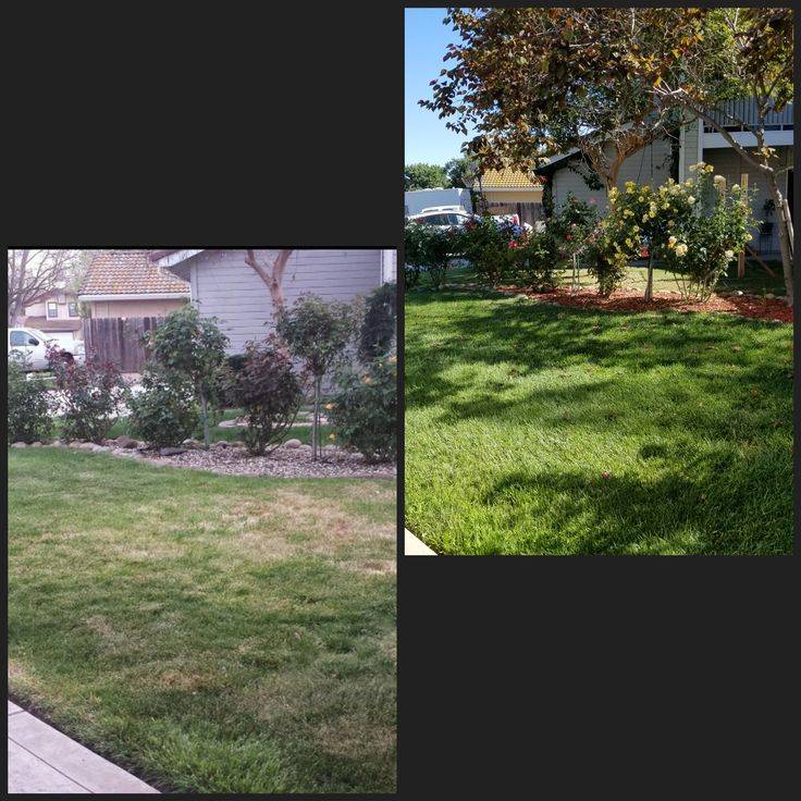 Gardening Garden
