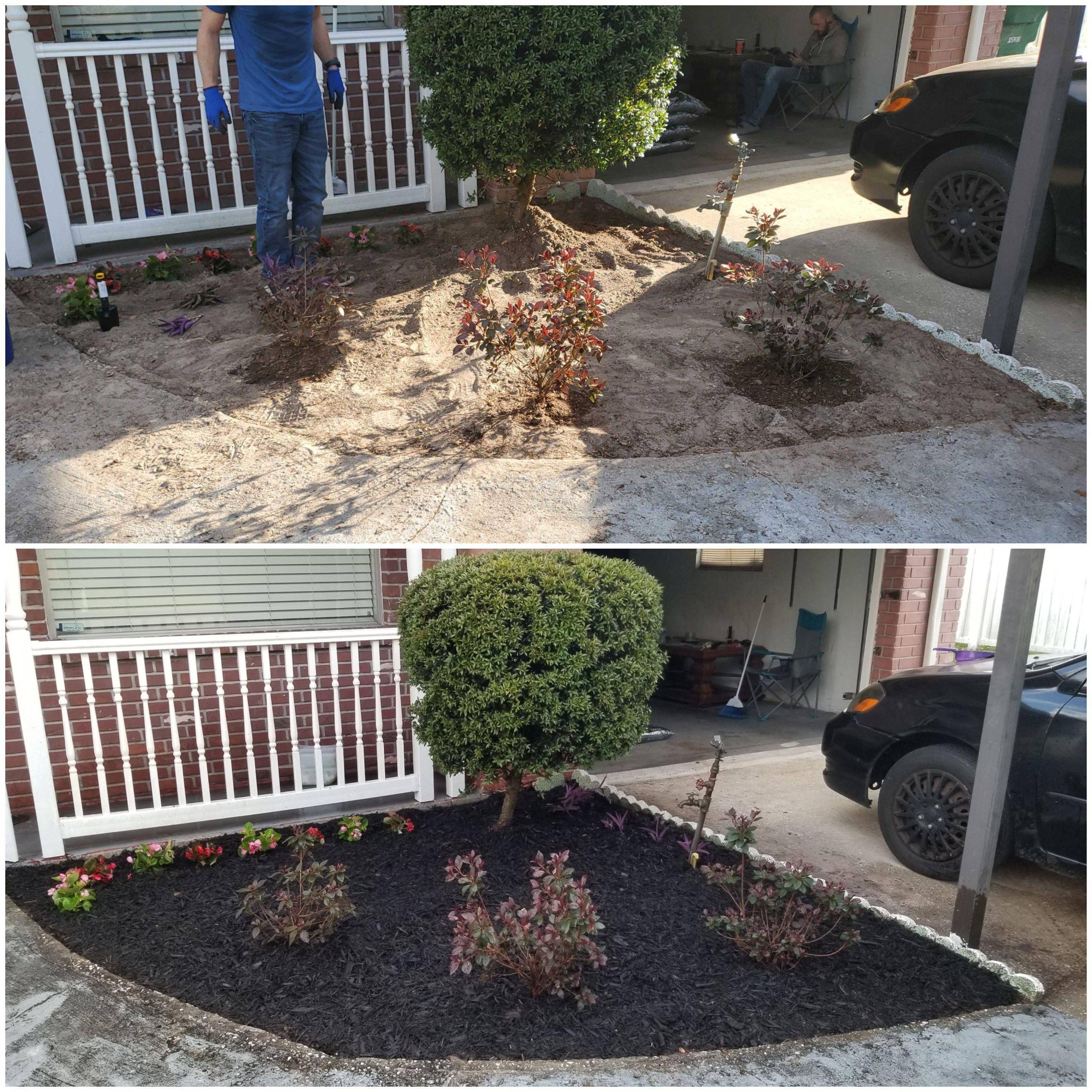 Before And After The Landscape Project