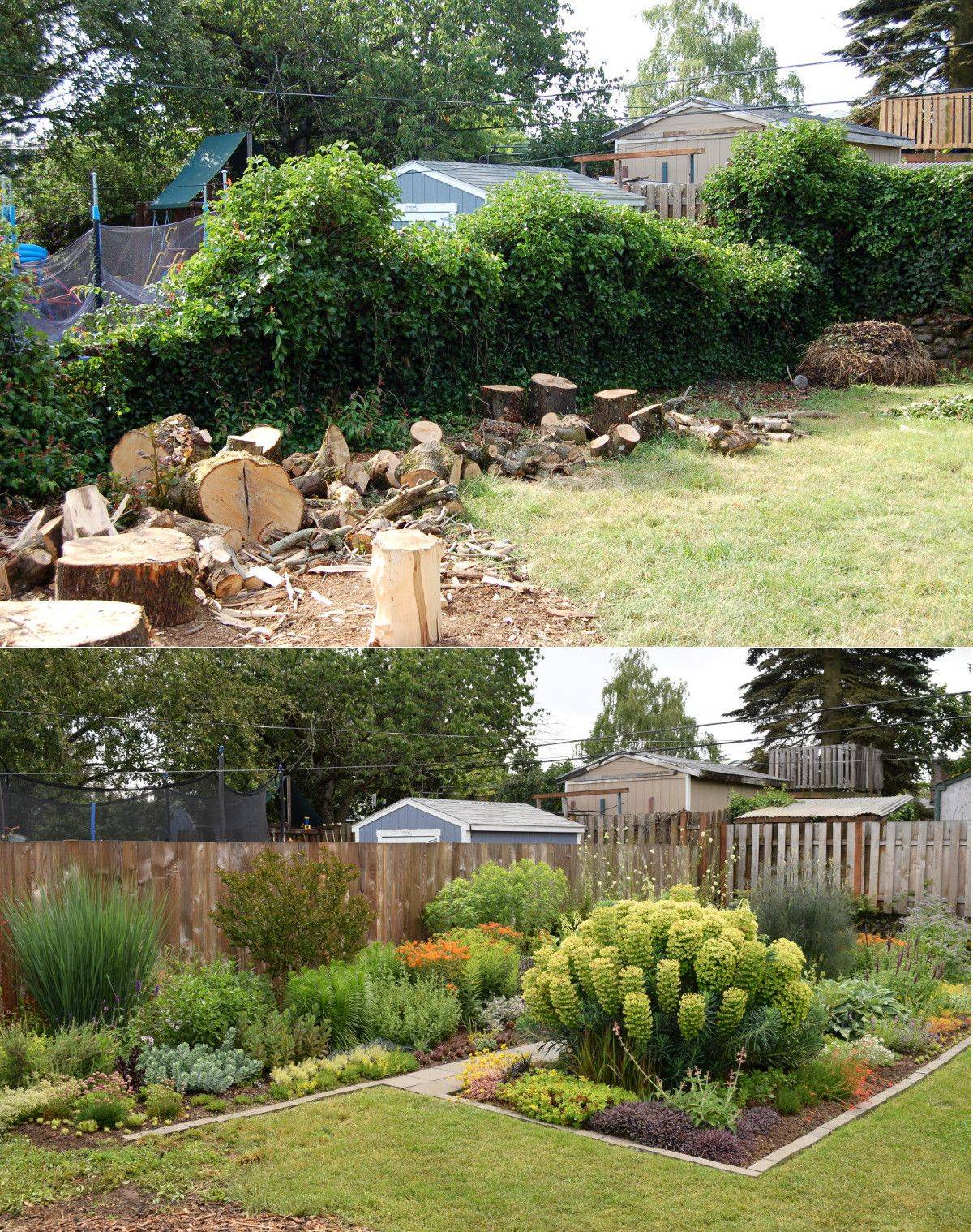 23 Before and After Rose Garden Pictures Ideas You Should Check