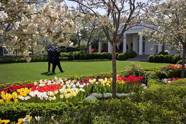 The White House Rose Garden