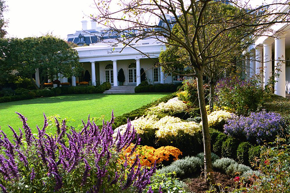 Kennedy Park Rose Garden