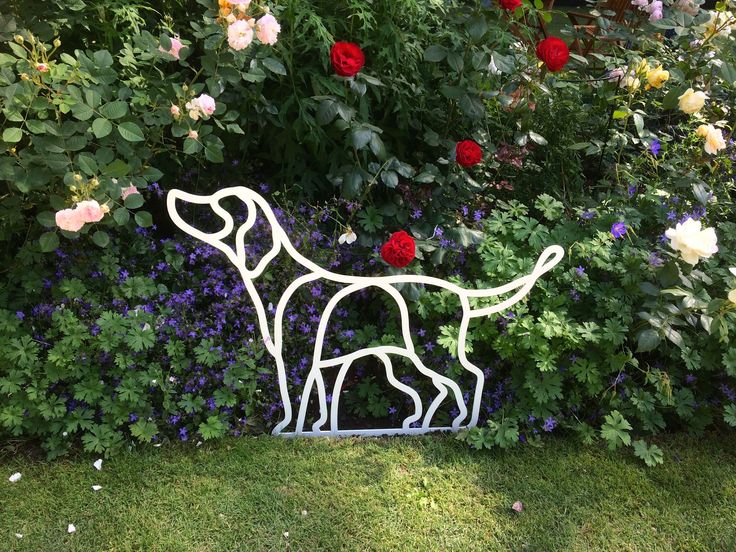 The Rose Garden