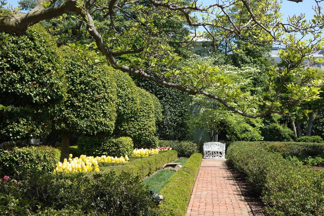 Jackie Kennedy Garden White House Museum