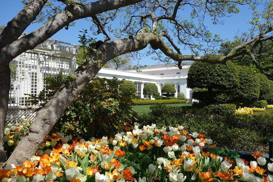 Jacqueline Kennedy Garden
