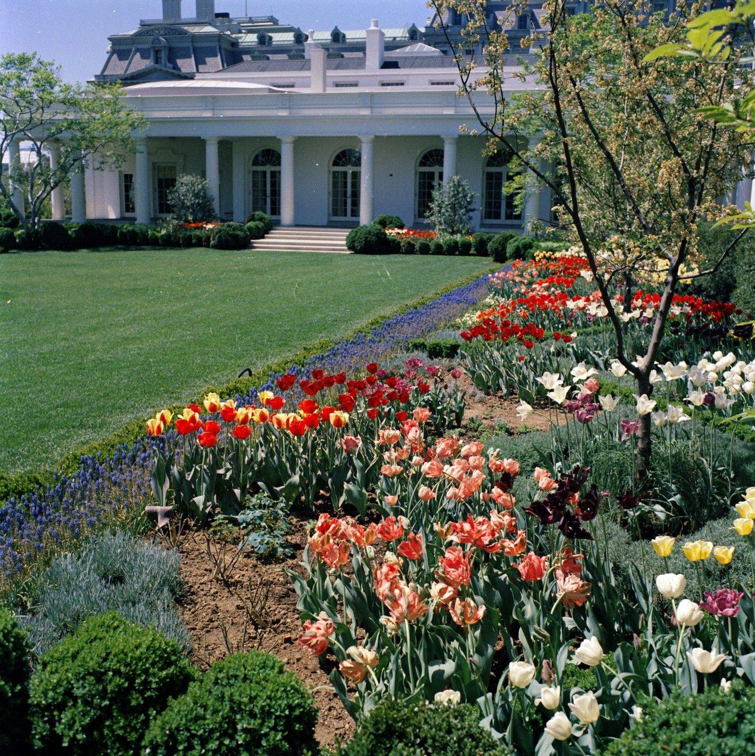 Jacqueline Kennedy Garden