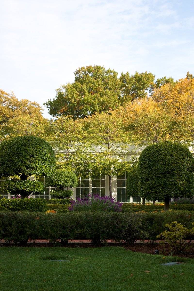 Jacqueline Kennedy Garden