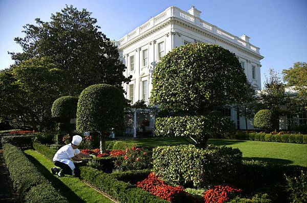 Jacqueline Kennedy Garden
