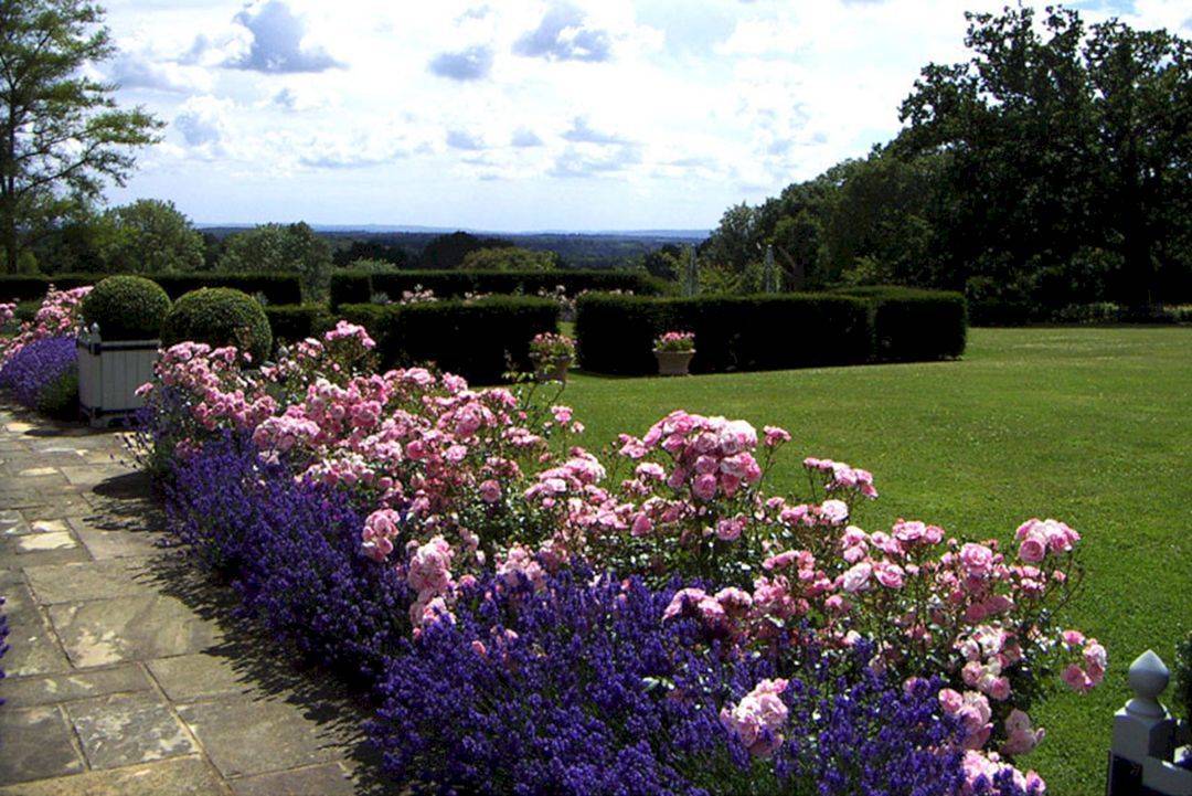 Small Rose Garden Design Ideas