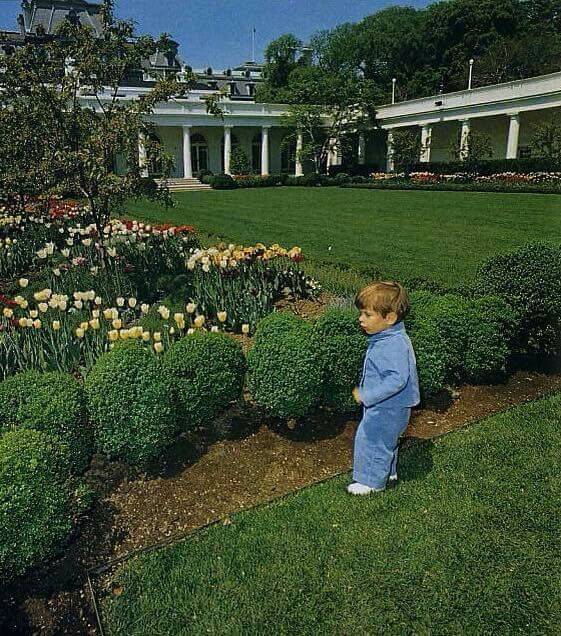 White House Rose Garden