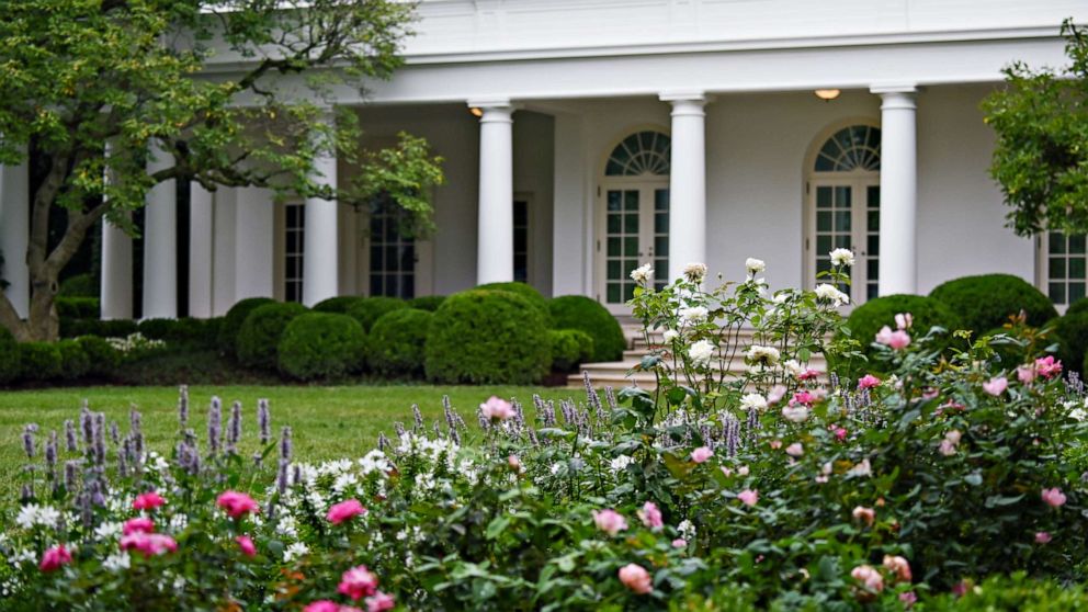President Trump
