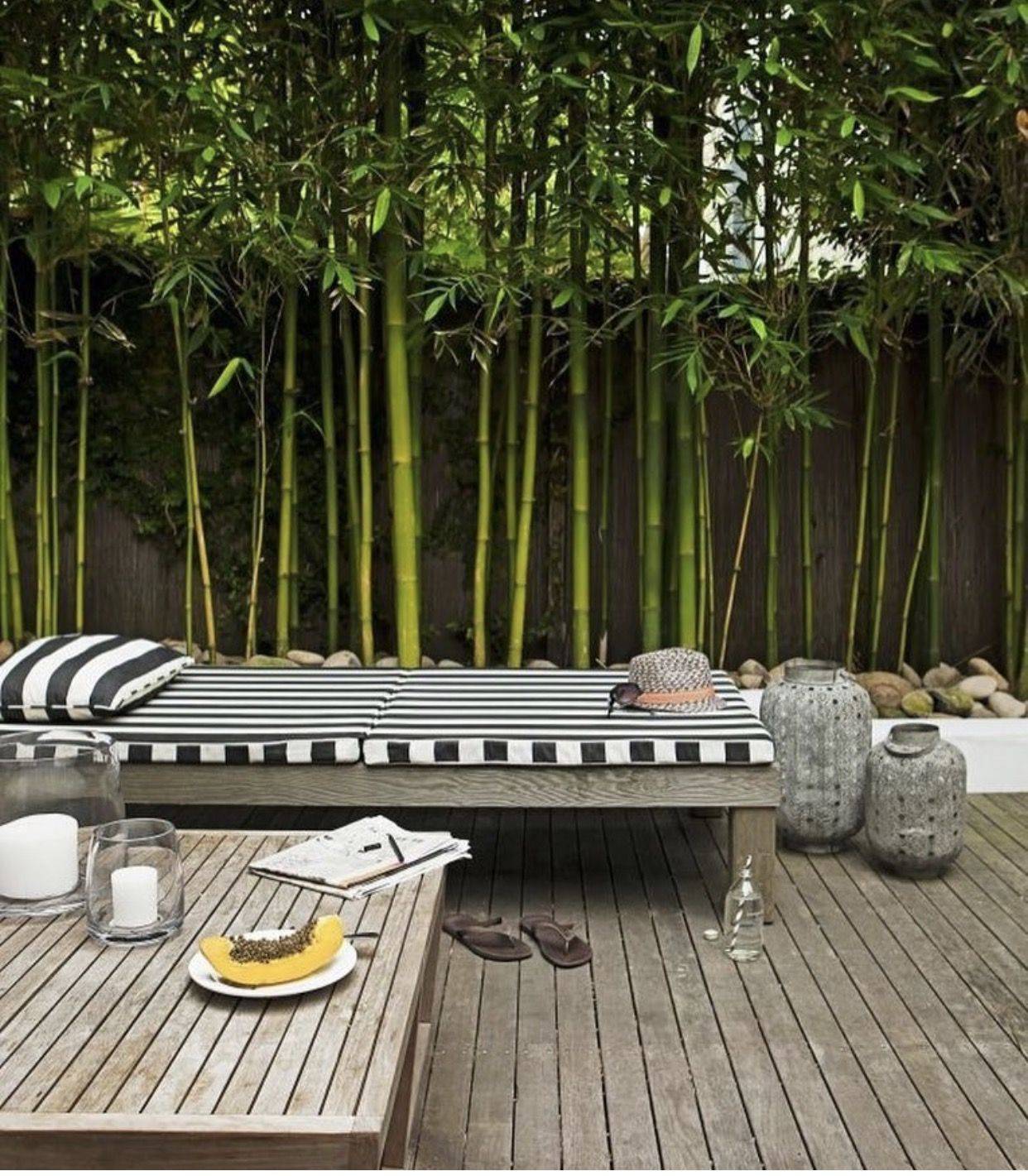 22 Bamboo Garden Screen Ideas You Must Look SharonSable